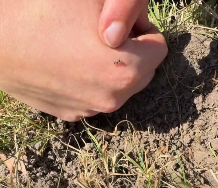 April i Biotopia billede