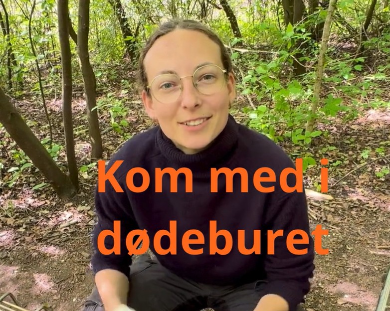 billede maj video