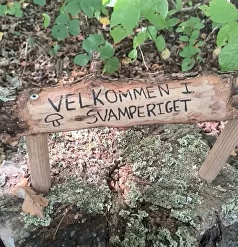 svamperiget september